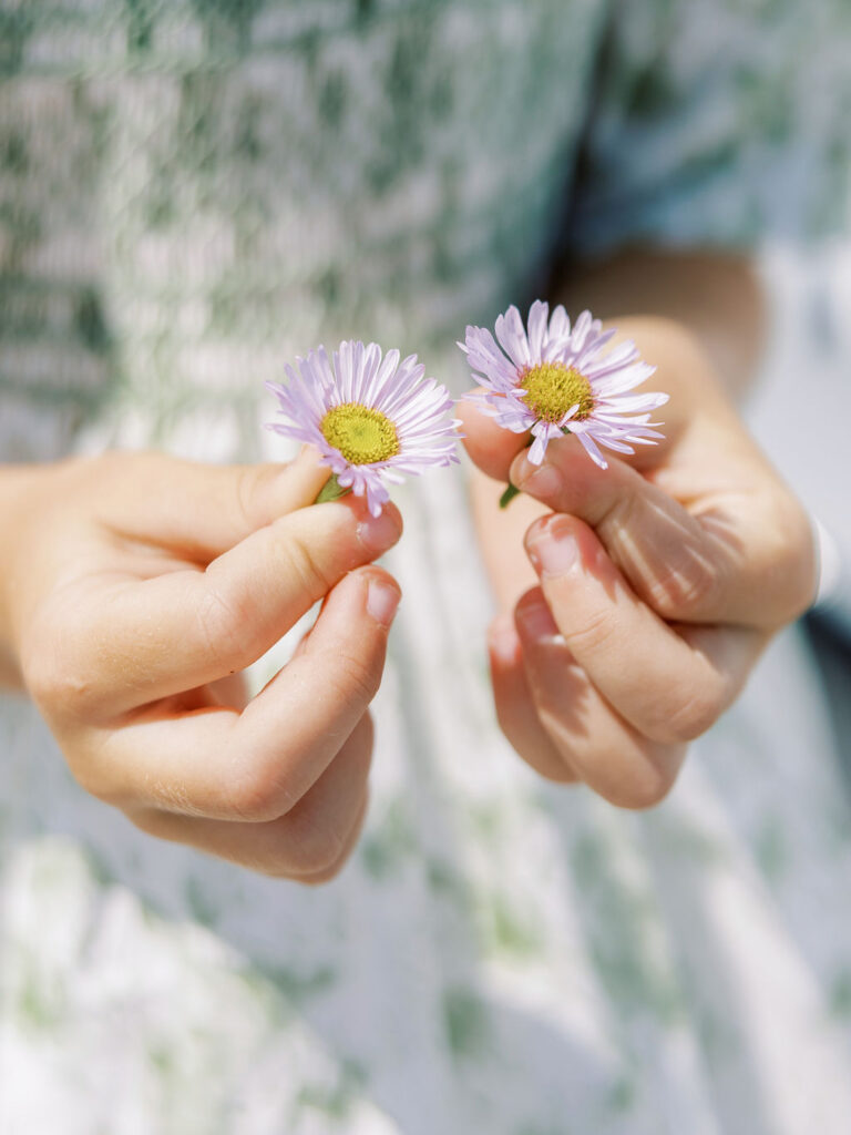 Close up of older sister holding small purple flowers during a relaxed newborn photos with siblings session.
